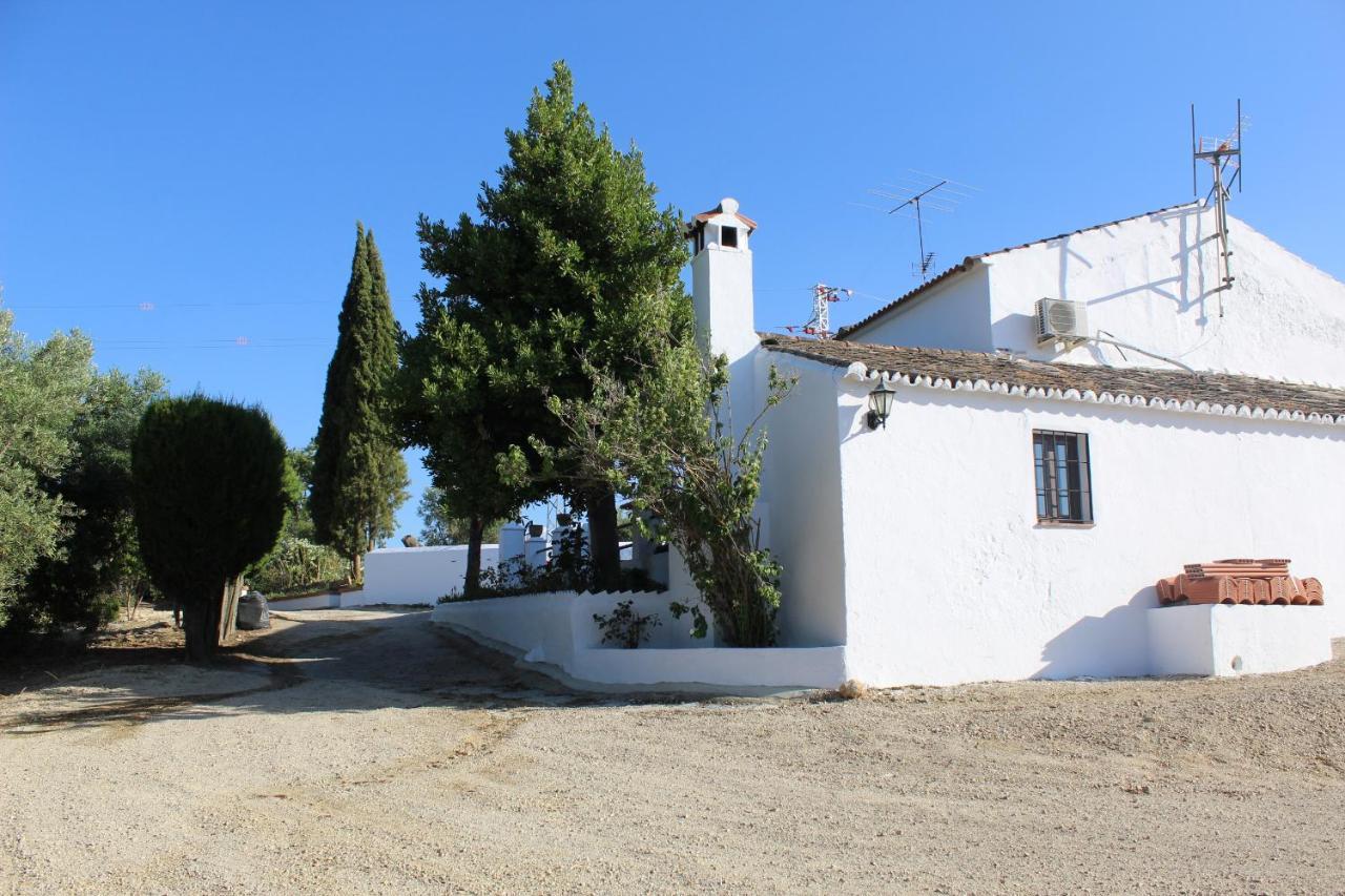 Casa Rural Faltriquera Setenil Setenil De Las Bodegas Luaran gambar