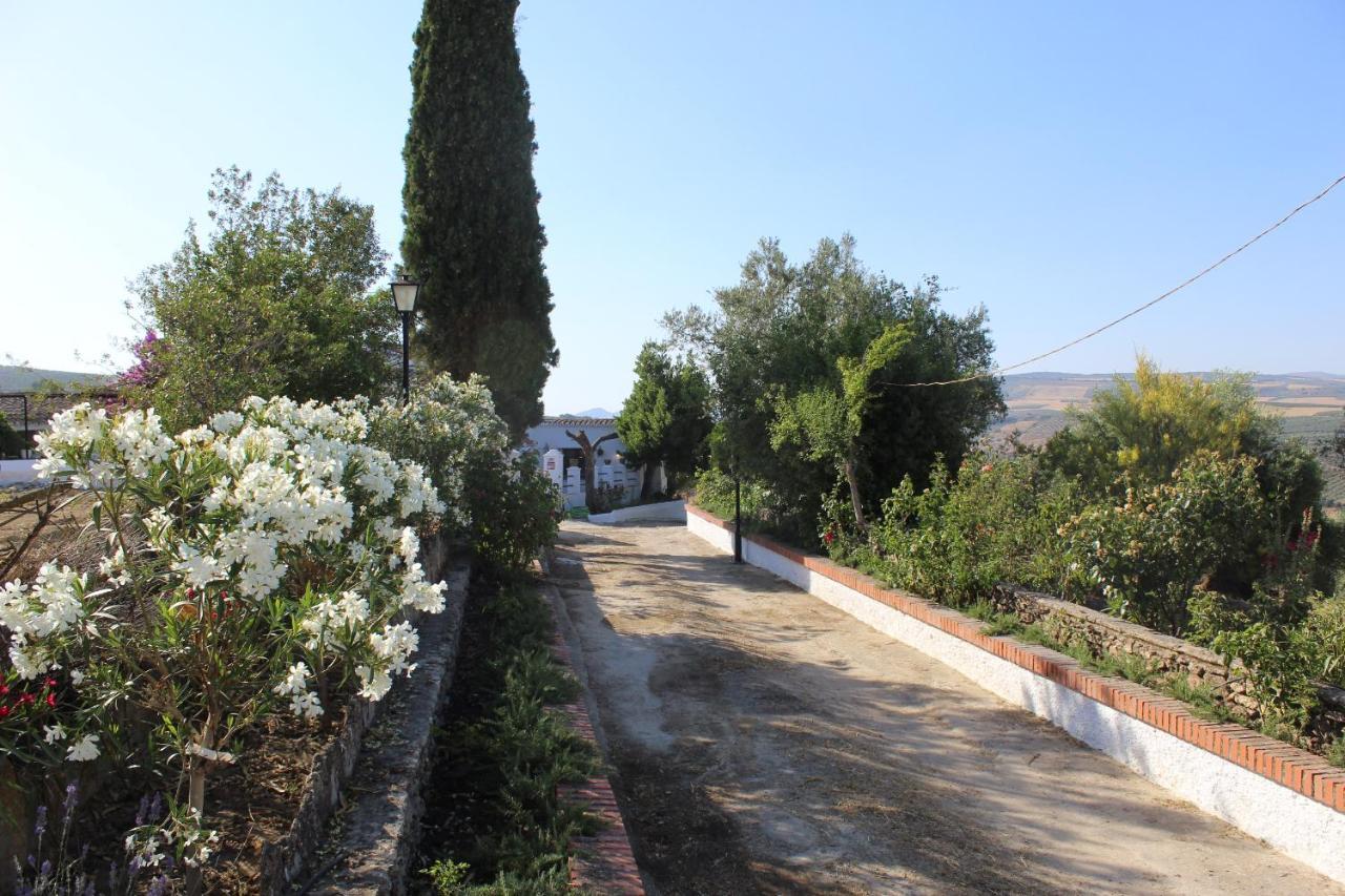 Casa Rural Faltriquera Setenil Setenil De Las Bodegas Luaran gambar
