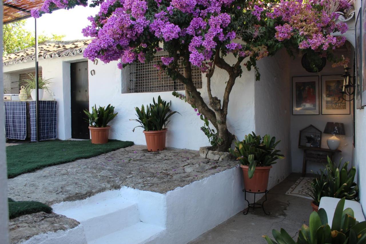 Casa Rural Faltriquera Setenil Setenil De Las Bodegas Luaran gambar